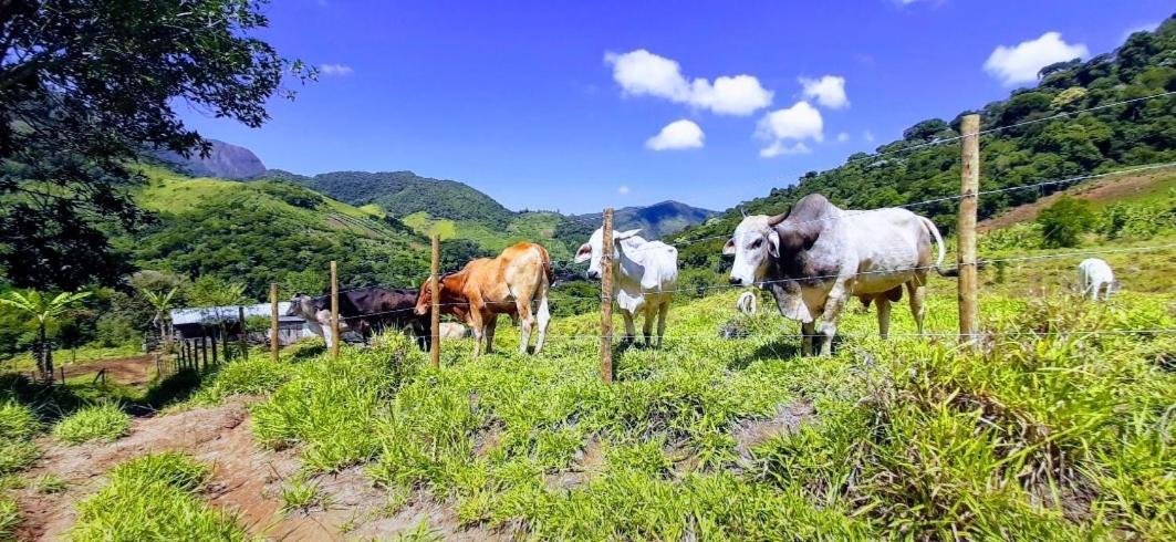 Fazendinha Paraiso Lumiar Buitenkant foto