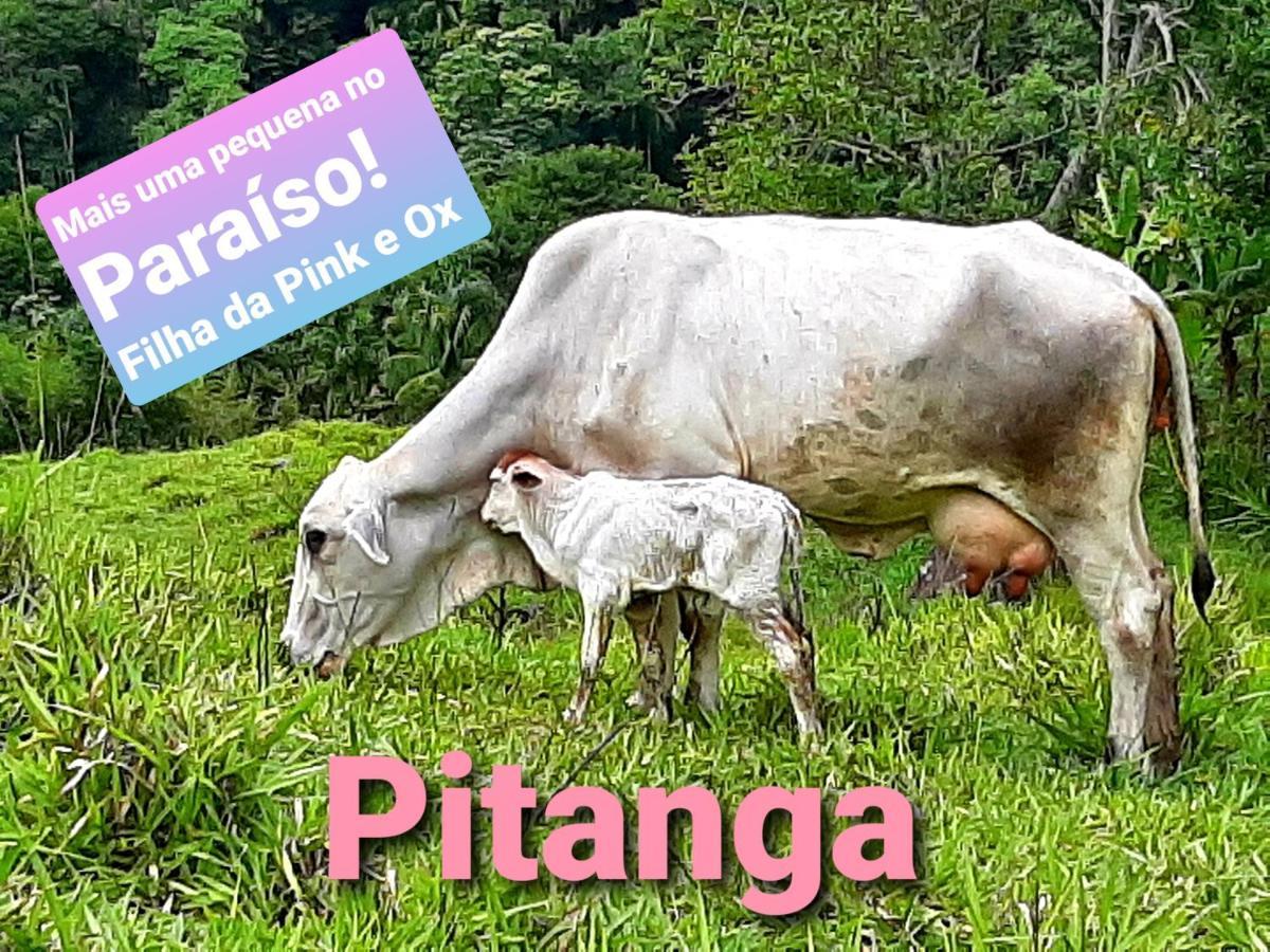 Fazendinha Paraiso Lumiar Buitenkant foto