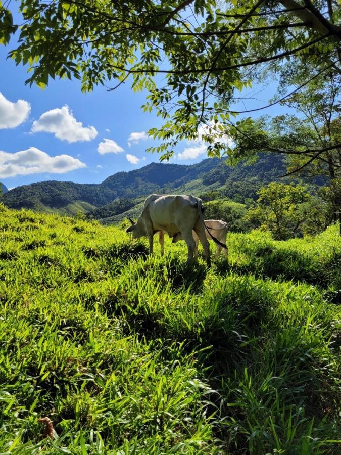 Fazendinha Paraiso Lumiar Buitenkant foto